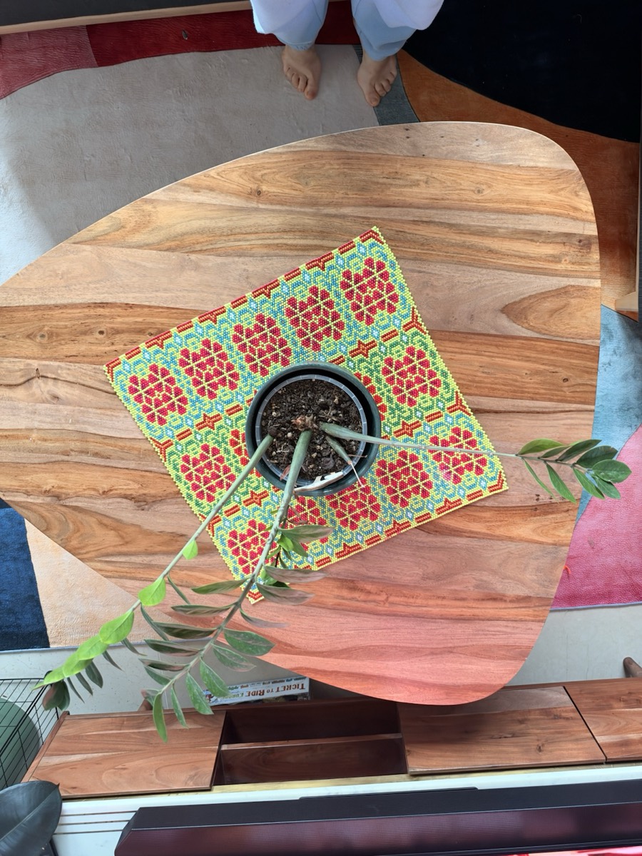Green square under a potted plant on the dining table