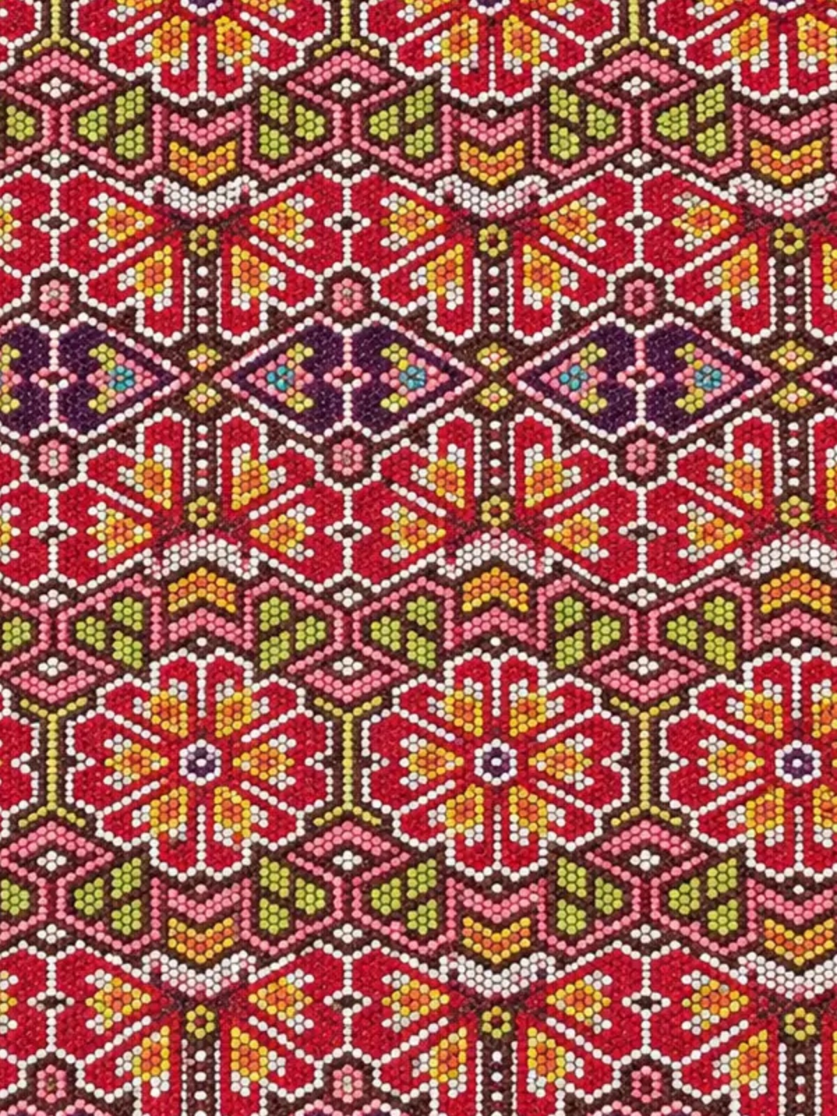 Close-up of Red garden: bead flowers in red, orange and green